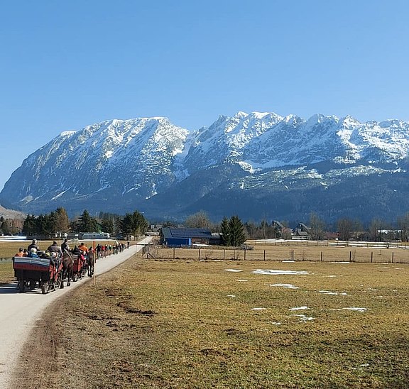 20260307_Pferdekutschenfahrt_Bad_Mitterndorf.jpg  